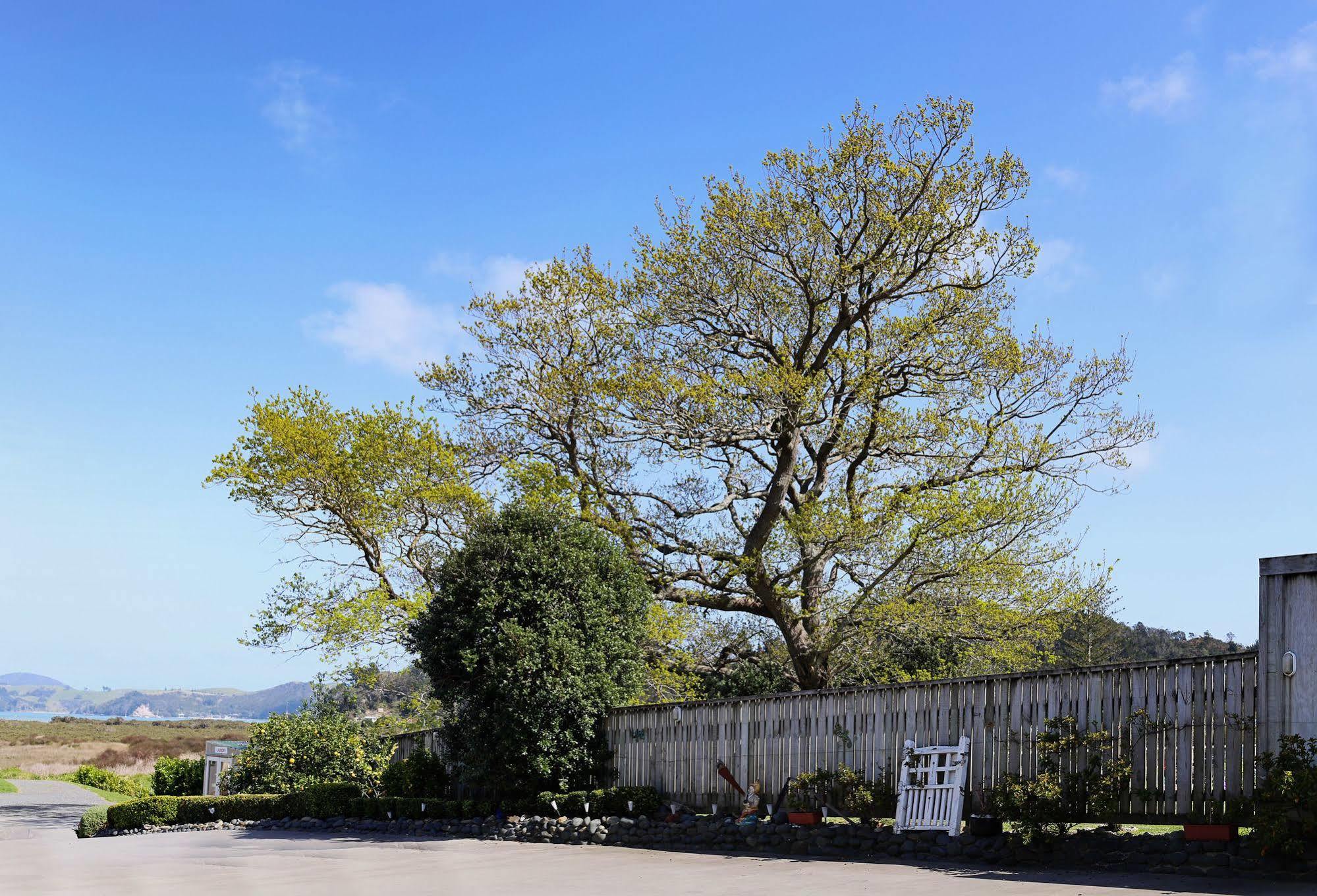 Abbey Court Motel Coromandel Ngoại thất bức ảnh